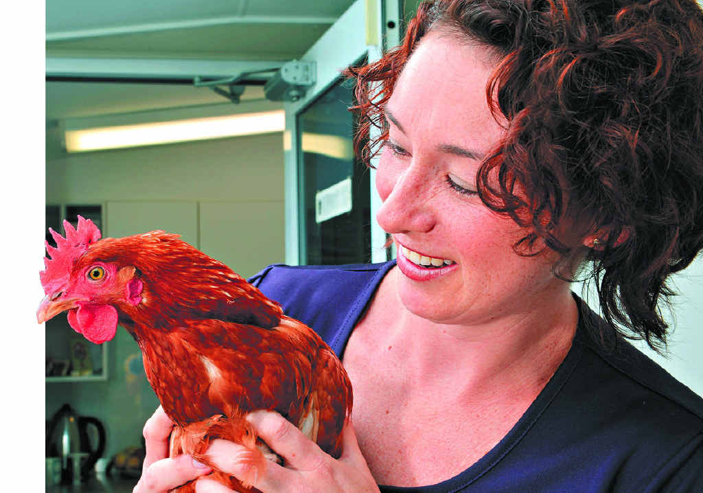 FLEW THE COOP: Adentica Family Dentists owner Sara Dent with the runaway Spikey, who is now back at home. FLEW THE COOP: Adentica Family Dentists owner Sara Dent with the runaway Spikey, who is now back at home.